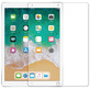 Противоударная защитная пленка BoxFace Apple iPad Pro 12.9
