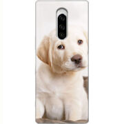 Чехол Uprint Sony Xperia 1 Puppy Labrador