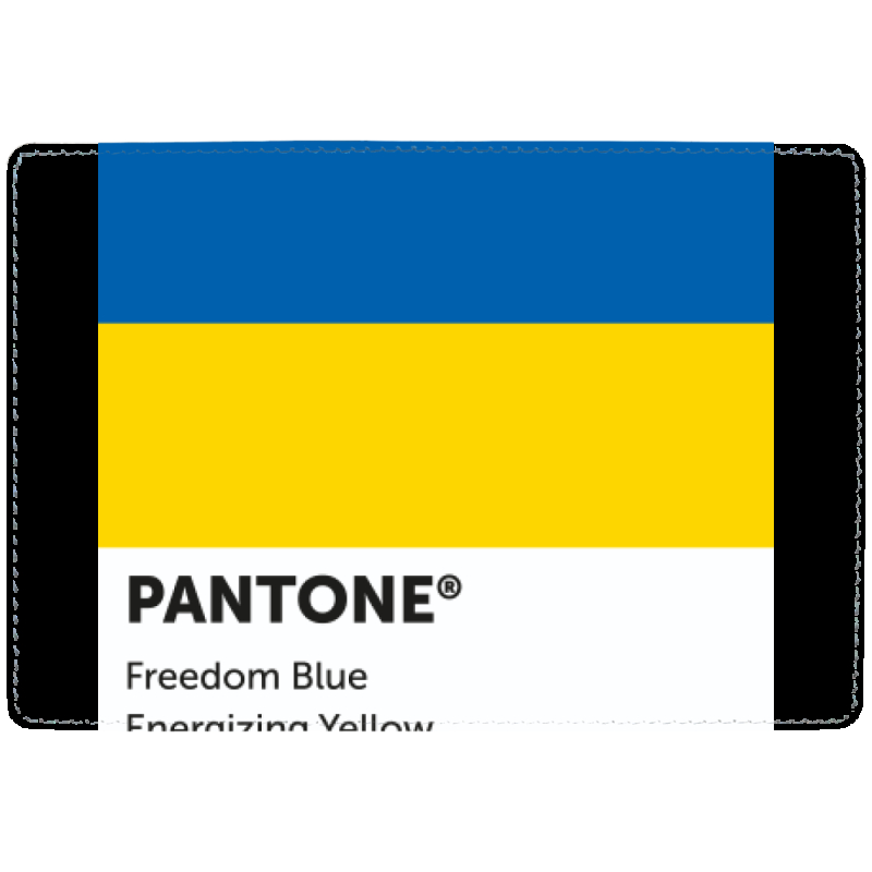 Обложка для паспорта с рисунком Pantone вільний синій