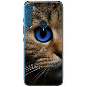 Чехол BoxFace Motorola One Fusion Plus Cat's Eye