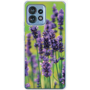 Чехол BoxFace Motorola Edge 40 Pro Green Lavender