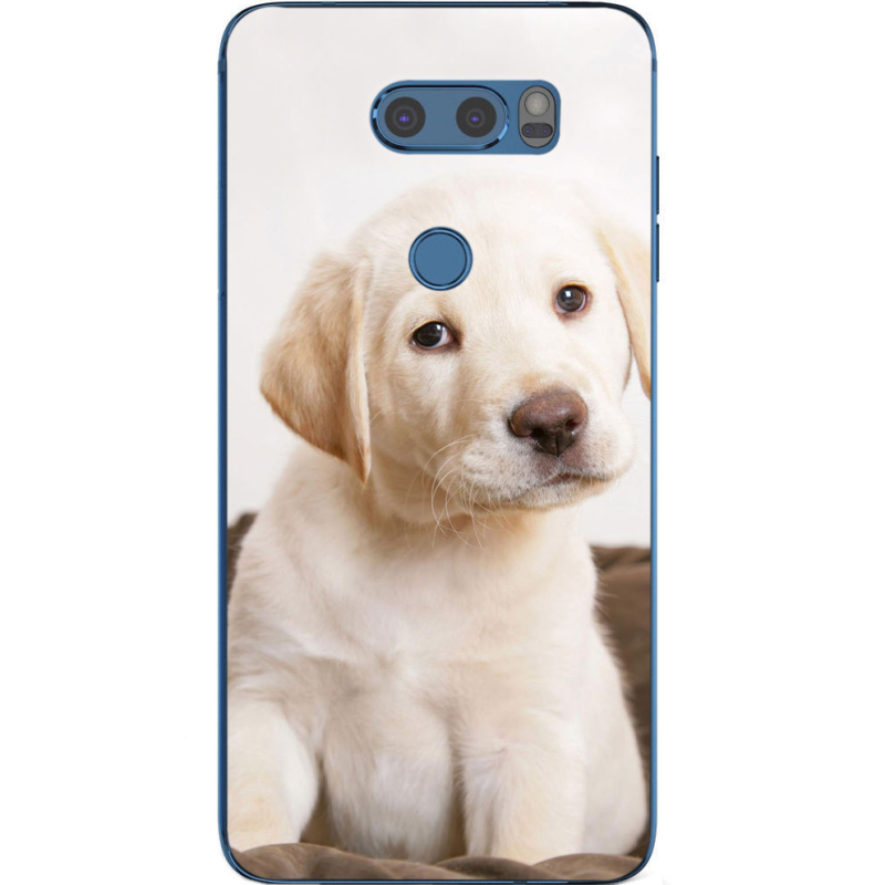Чехол Uprint LG V30 / V30 Plus H930DS Puppy Labrador