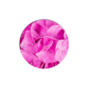 Uprint Popsocket Pink Flowers