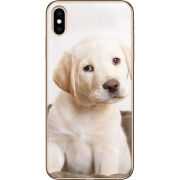 Чехол Uprint Apple iPhone XS Max Puppy Labrador