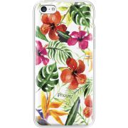 Прозрачный чехол Uprint Apple iPhone 5С Tropical Flowers