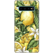 Чехол Uprint Samsung G973 Galaxy S10 Lemon Pattern