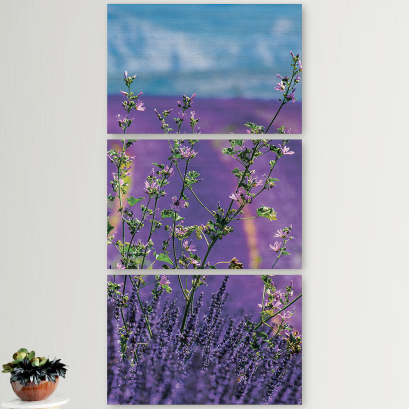 Модульные картины горизонтальные  60 на 40 3шт Lavender Field