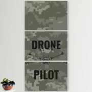 Модульные картины горизонтальные  60 на 40 3шт Drone Pilot