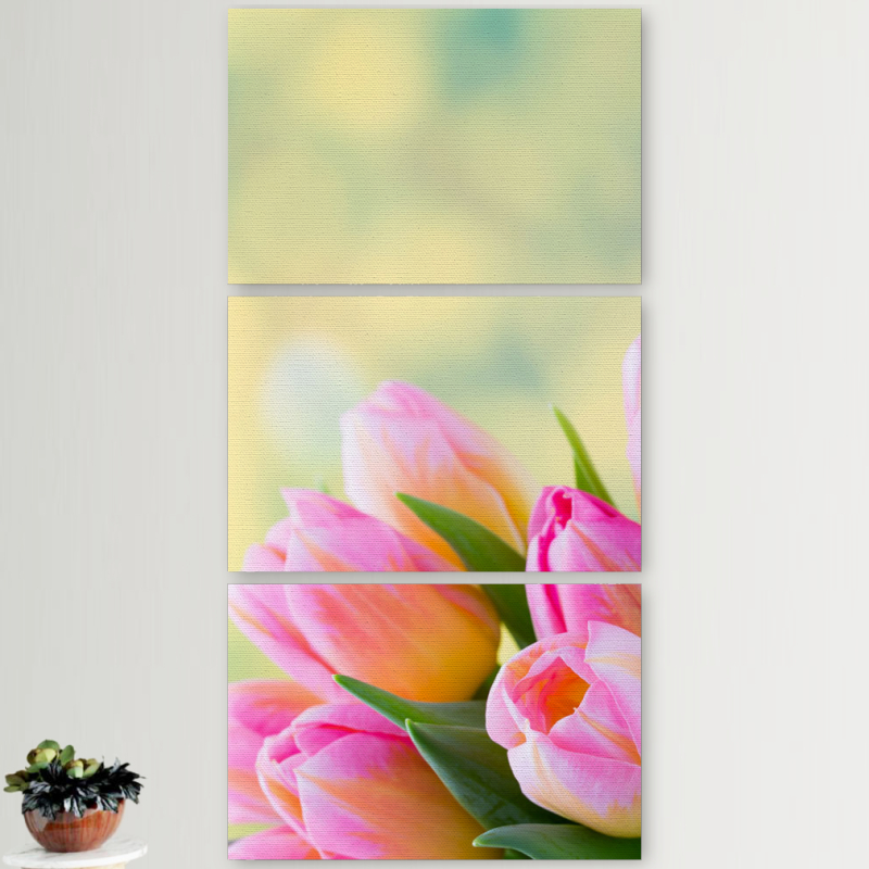 Модульные картины горизонтальные  60 на 40 3шт Bouquet of Tulips