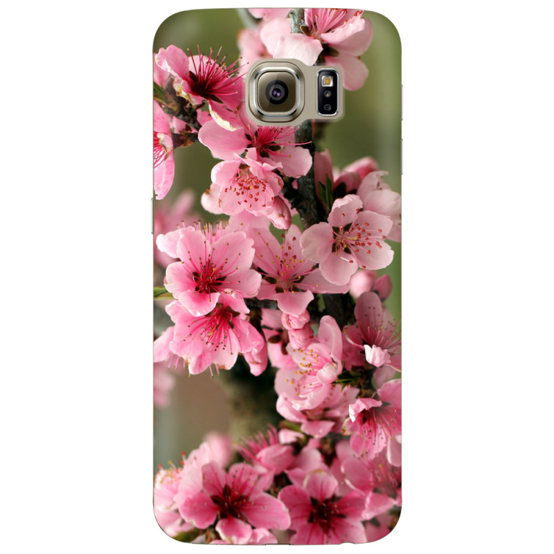 Чехол Uprint Samsung G925 Galaxy S6 Edge Вишневые Цветы