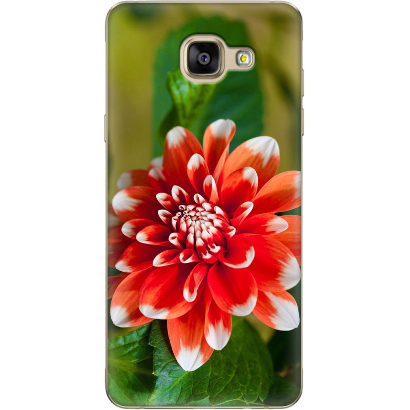 Чехол Uprint Samsung A710 Galaxy A7 2016 