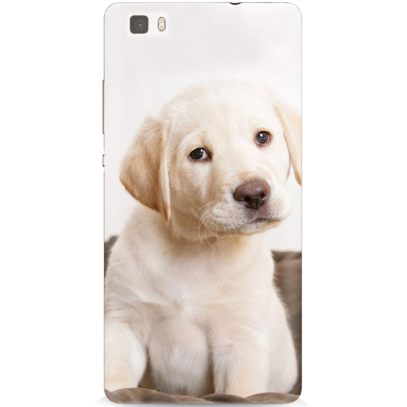 Чехол Uprint Huawei Ascend P8 Lite Puppy Labrador