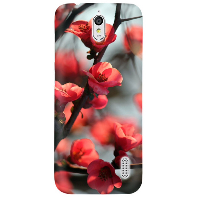 Чехол Uprint Huawei Ascend Y625 Awakening Spring