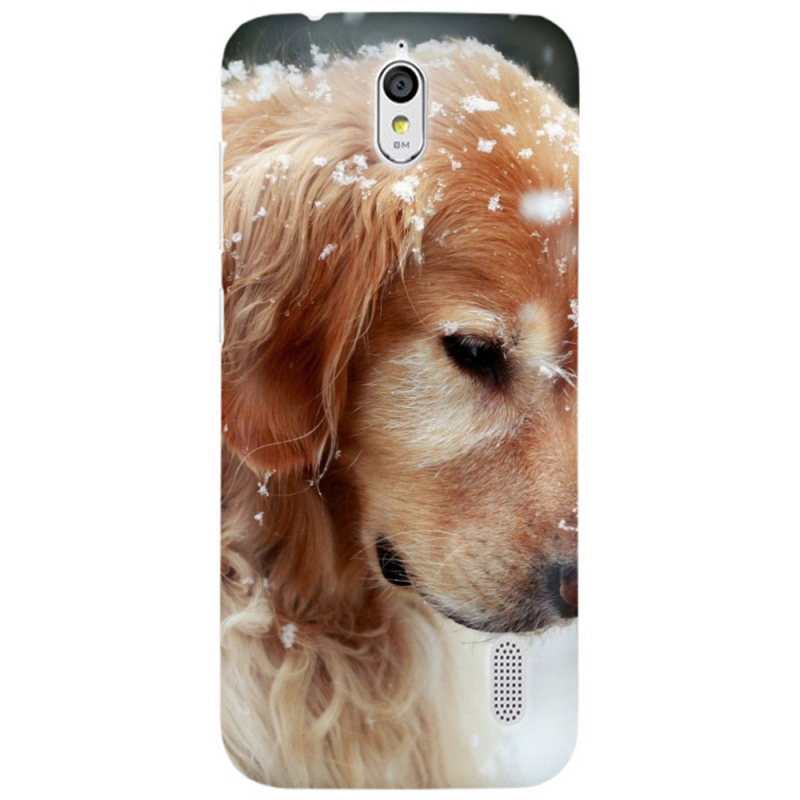 Чехол Uprint Huawei Ascend Y625 Golden Retriever