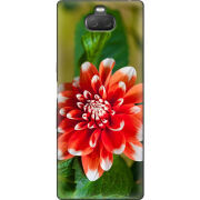 Чехол Uprint Sony Xperia 10 Plus I4213 