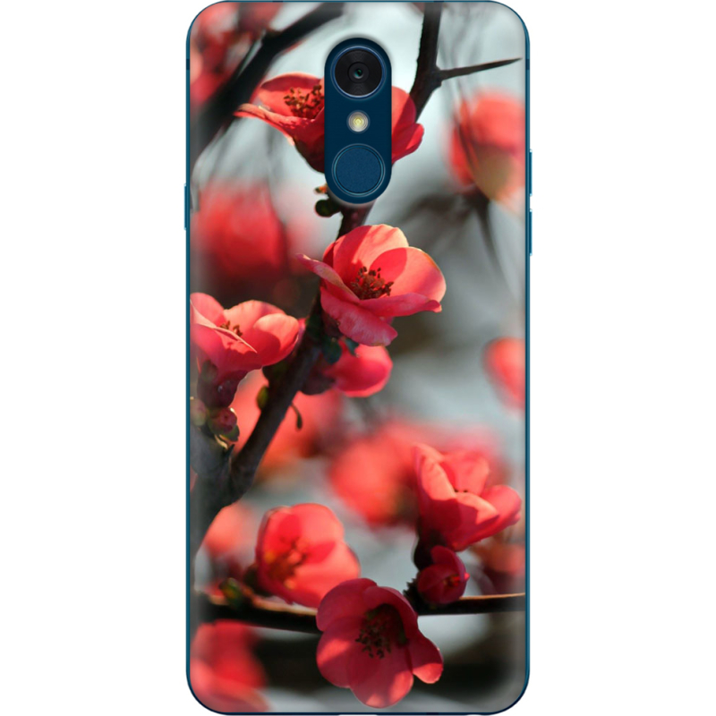 Чехол Uprint LG Q7 / Q7 Plus  Awakening Spring