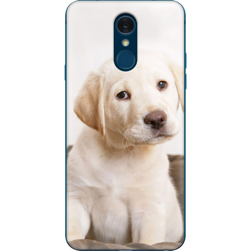 Чехол Uprint LG Q7 / Q7 Plus  Puppy Labrador