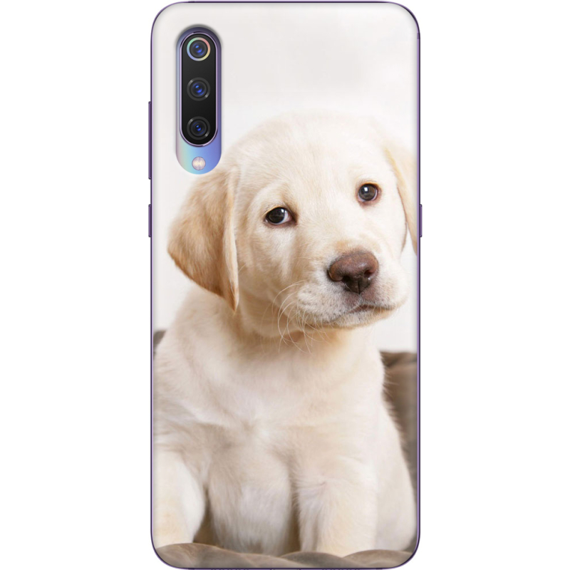 Чехол Uprint Xiaomi Mi 9 Puppy Labrador