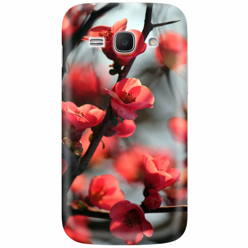 Чехол Uprint Samsung Galaxy Ace 3 S7272 Awakening Spring