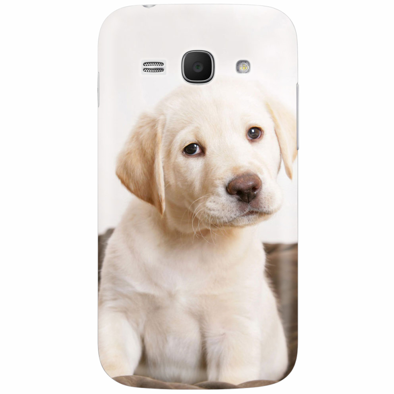 Чехол Uprint Samsung Galaxy Ace 3 S7272 Puppy Labrador