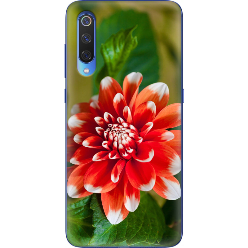 Чехол Uprint Xiaomi Mi 9 SE 