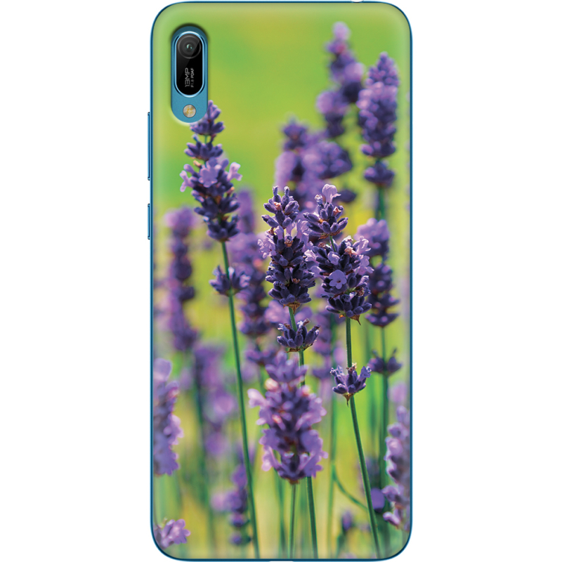 Чехол Uprint Huawei Y6 2019 Green Lavender