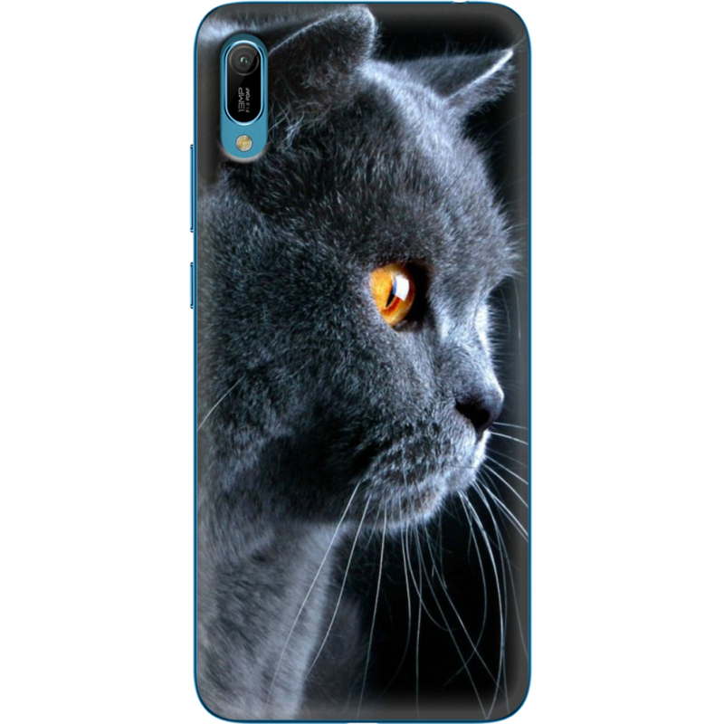 Чехол Uprint Huawei Y6 2019 English cat