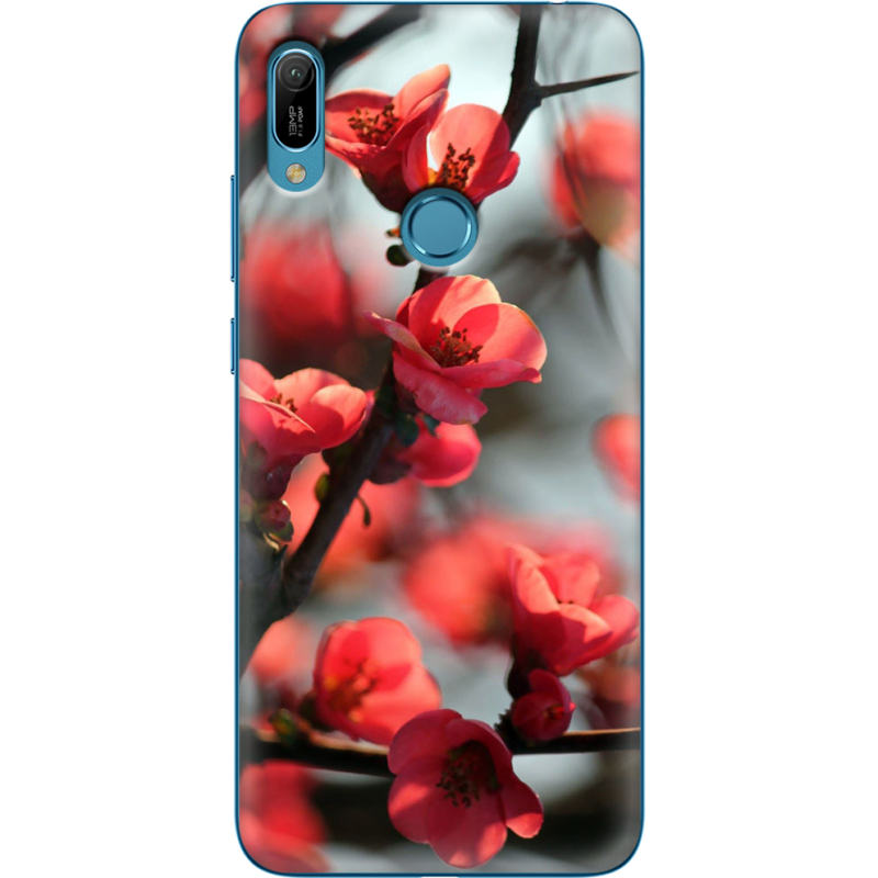 Чехол Uprint Huawei Y6 Prime 2019 Awakening Spring