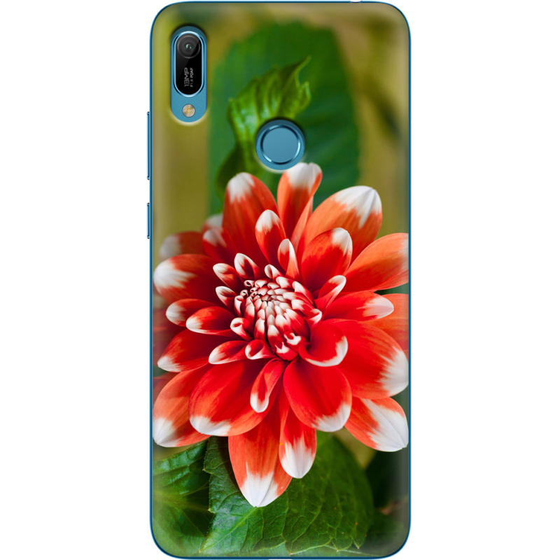 Чехол Uprint Huawei Y6 Prime 2019 