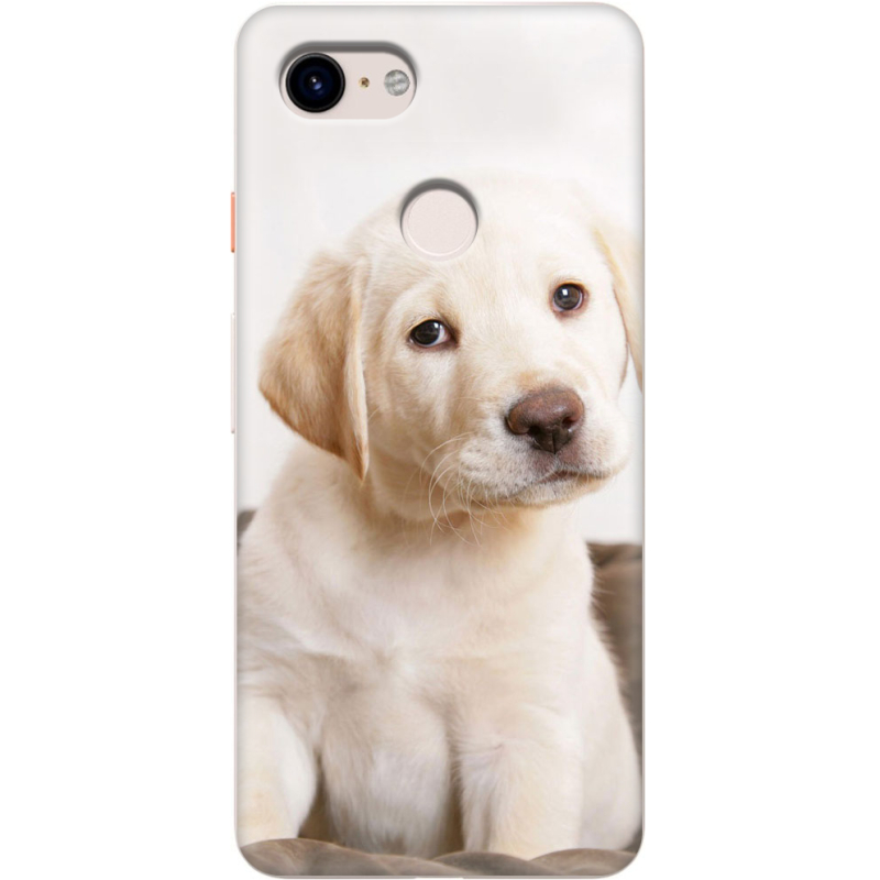 Чехол Uprint Google Pixel 3 Puppy Labrador