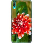 Чехол Uprint Huawei Y7 Pro 2019 