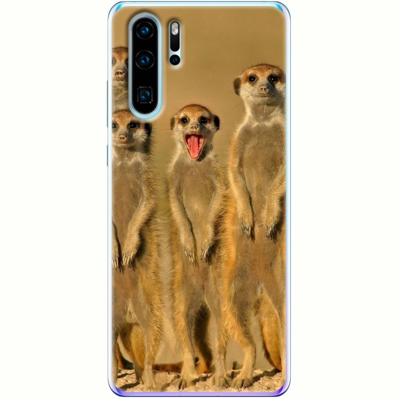 Чехол Uprint Huawei P30 Pro 