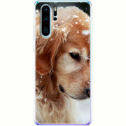 Чехол Uprint Huawei P30 Pro Golden Retriever