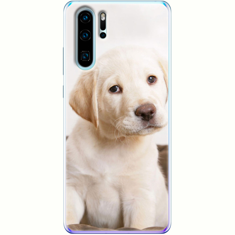 Чехол Uprint Huawei P30 Pro Puppy Labrador