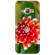 Чехол Uprint Samsung J120H Galaxy J1 2016 