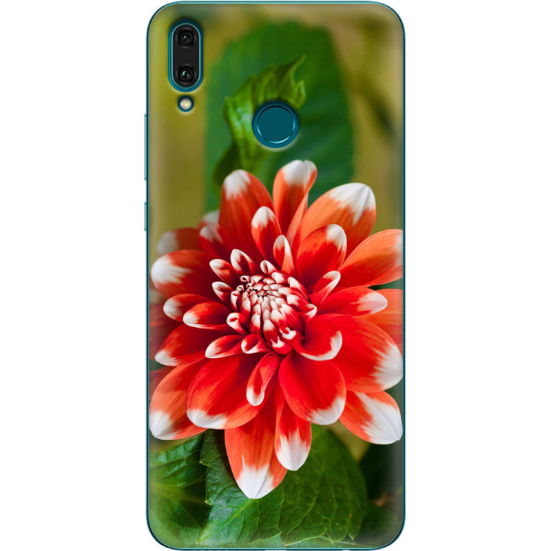 Чехол Uprint Huawei Y9 2019 