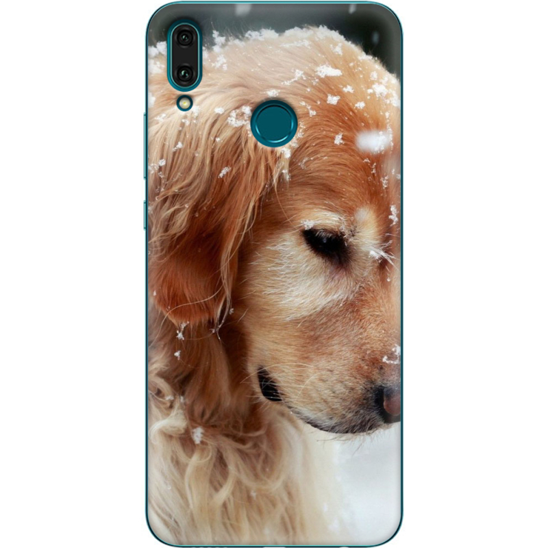 Чехол Uprint Huawei Y9 2019 Golden Retriever