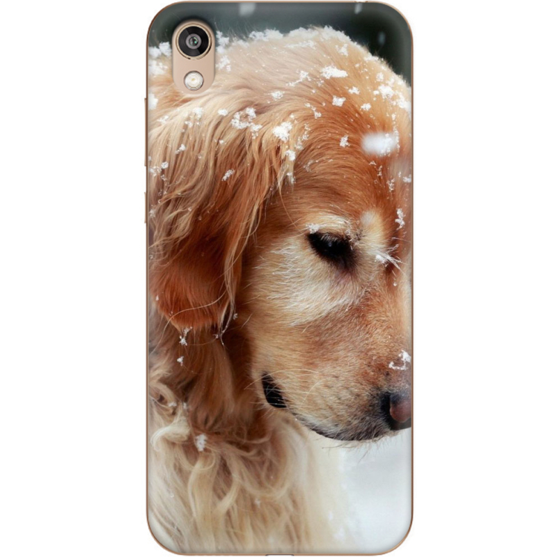 Чехол Uprint Huawei Honor 8S Golden Retriever