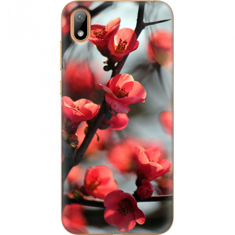 Чехол U-print Huawei Y5 2019 Awakening Spring