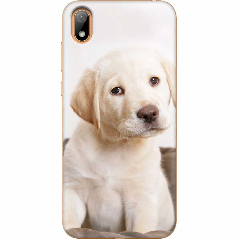 Чехол U-print Huawei Y5 2019 Puppy Labrador