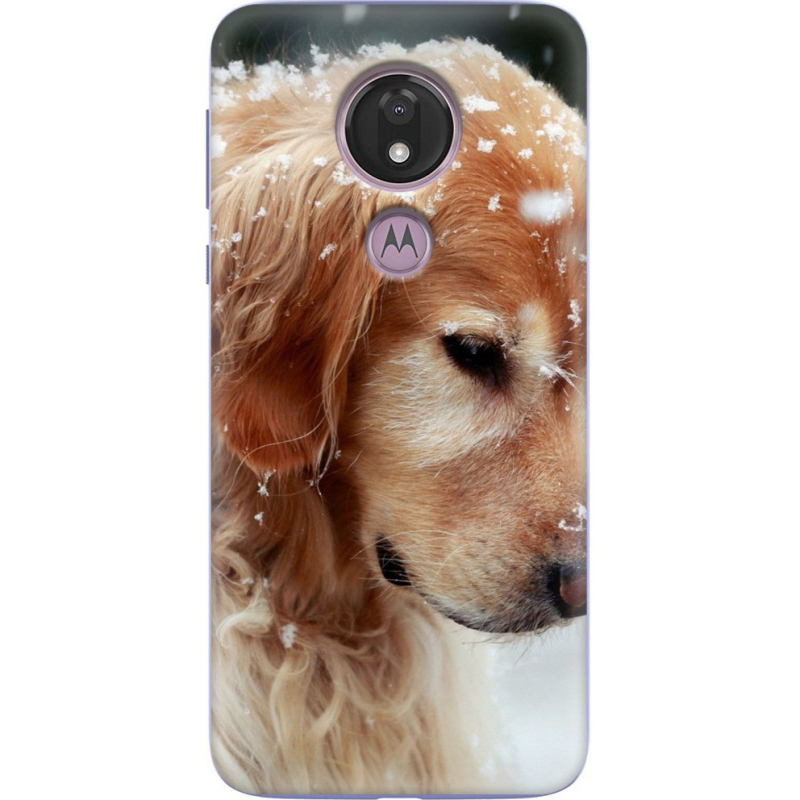 Чехол Uprint Motorola Moto G7 Power XT1955 Golden Retriever