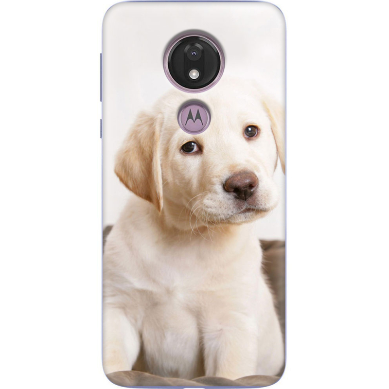 Чехол Uprint Motorola Moto G7 Power XT1955 Puppy Labrador