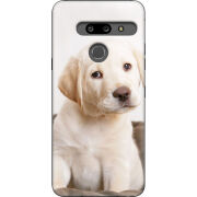 Чехол Uprint LG G8 ThinQ Puppy Labrador