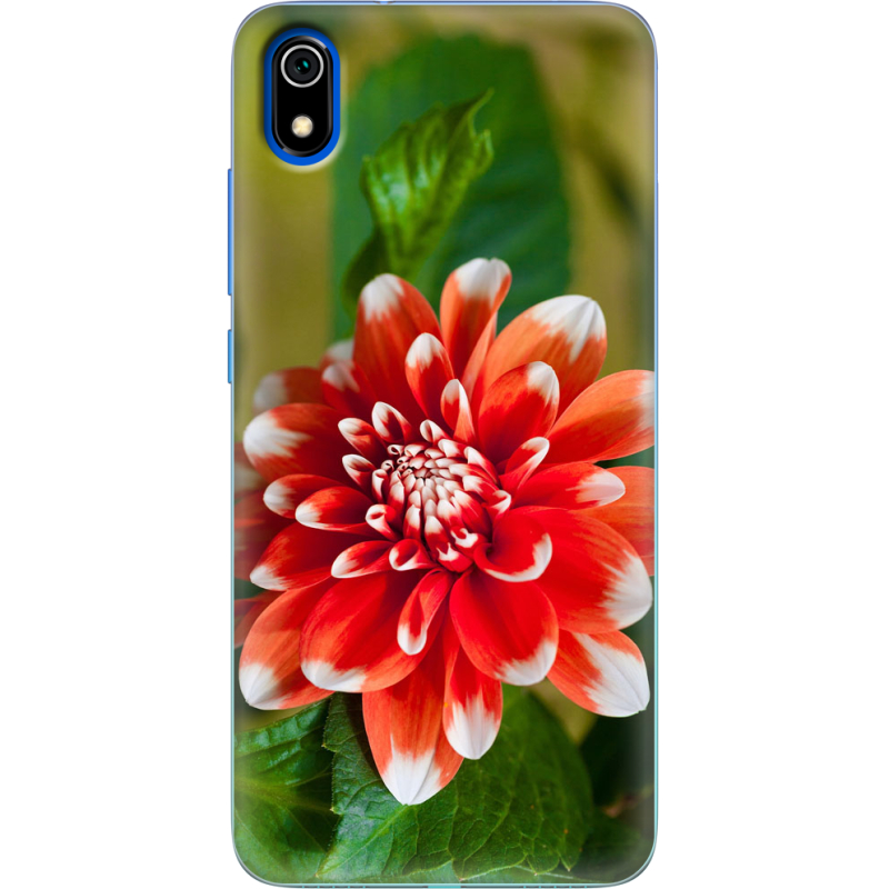 Чехол Uprint Xiaomi Redmi 7A 