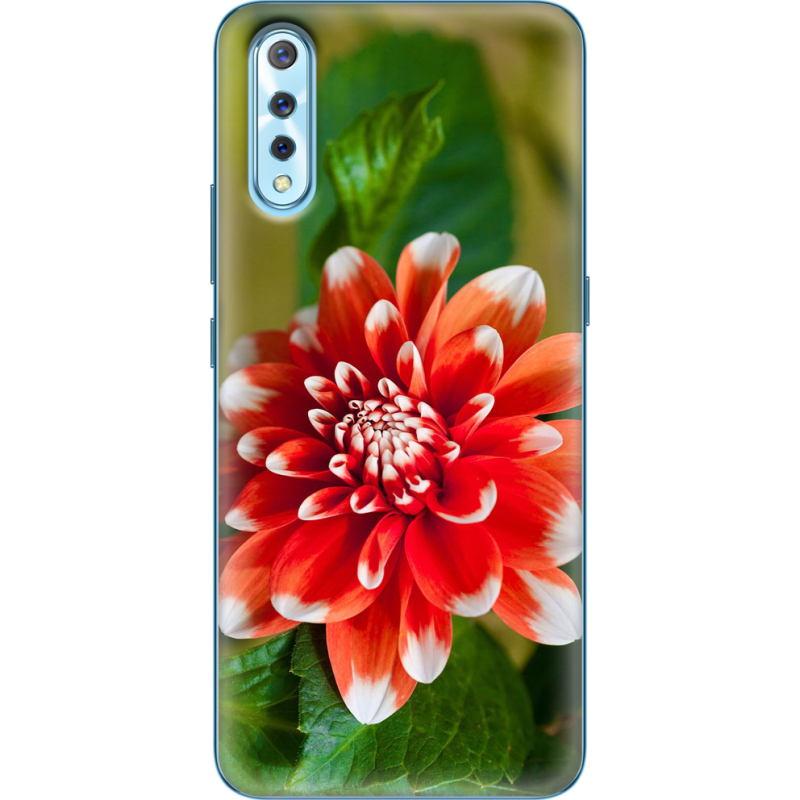 Чехол Uprint Vivo V17 Neo 