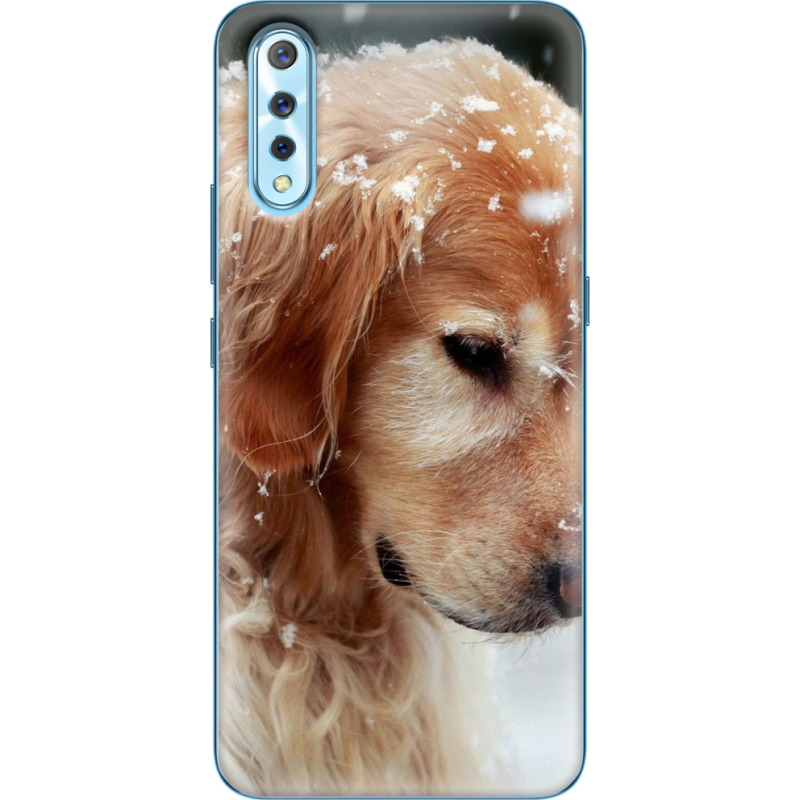 Чехол Uprint Vivo V17 Neo Golden Retriever