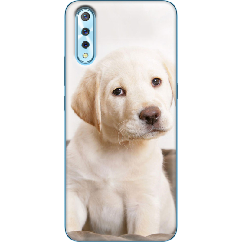 Чехол Uprint Vivo V17 Neo Puppy Labrador