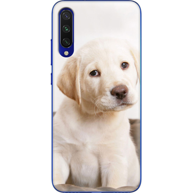 Чехол Uprint Xiaomi Mi A3 Puppy Labrador