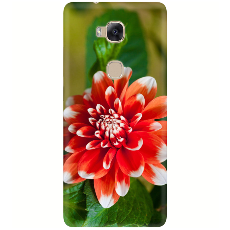 Чехол Uprint Huawei GR5 