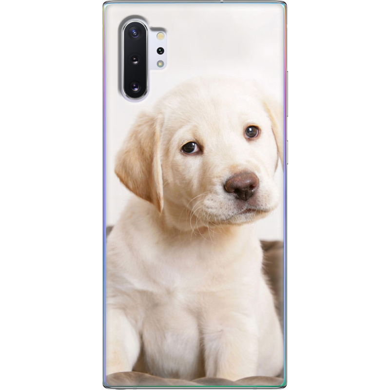 Чехол Uprint Samsung N975 Galaxy Note 10 Plus Puppy Labrador